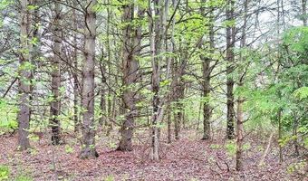 Parcel 2 Lakeshore, Applegate, MI 48401