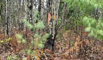 61 Thorn Hill Rd, Bethlehem, NH 03574