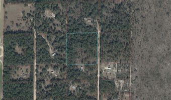 93 RD Ter, Archer, FL 32618