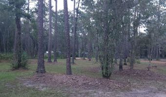 5961 Old River Rd, Baker, FL 32531