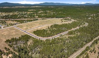 Lot 20 Asulkan St, Athol, ID 83801