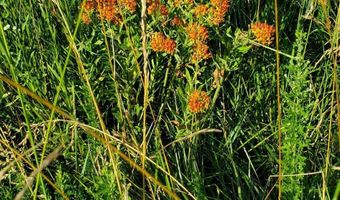 4775 S 50th Rd, Aldrich, MO 65601