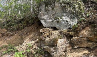 999999 Harwood Rd, Barnardsville, NC 28709