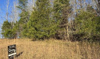 Cheyenne Pass Road lot 81, Austin, KY 42123