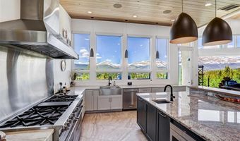 1453 PONDEROSA Rd, Alma, CO 80420
