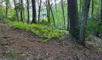 Tract 6 Walnut Ridge, Banner Elk, NC 28604
