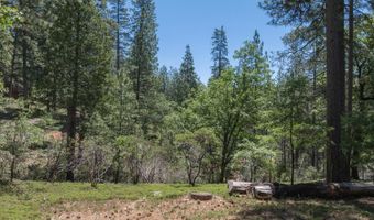 1887 Lightning, Arnold, CA 95223