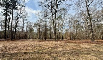 6325 State Highway 95, Abbeville, AL 36310