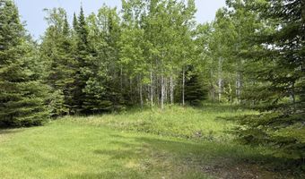 Parcel 4 Wreck Road, Alpena, MI 49707