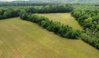 1226 Joe Kidder Rd, Arnaudville, LA 70512