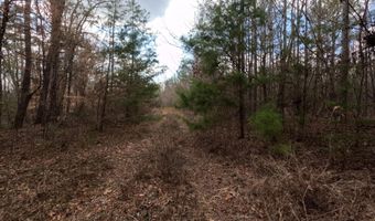 Saint John Road, Braxton, MS 39044