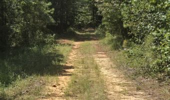 Adams Road, Bankston, AL 35542