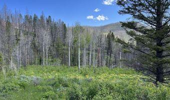 DEER HAVEN 40 AC Road, Bondurant, WY 82922