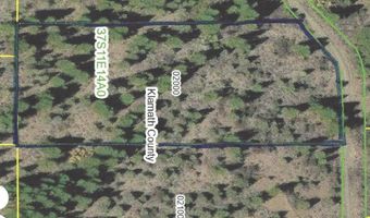 Polar Bear Lane lot 3, Bonanza, OR 97623