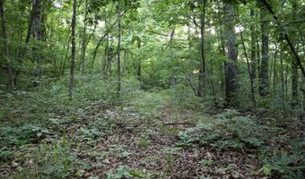 Whiskey Creek Lane, Batesville, AR 72501