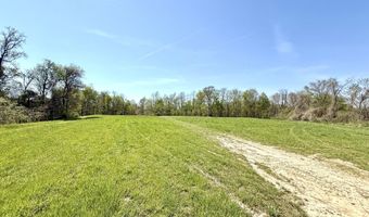 378 County Road 1219, Bardwell, KY 42023