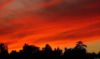 2557 Live Oak Park Rd, Fallbrook, CA 92028