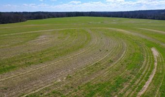 0 Tervin Mill Rd, Andalusia, AL 36421