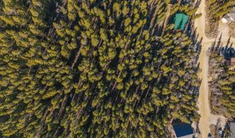 431 N Aspen St, Alma, CO 80420