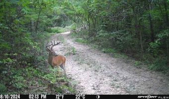 Co Rd K 546, Ava, MO 65608