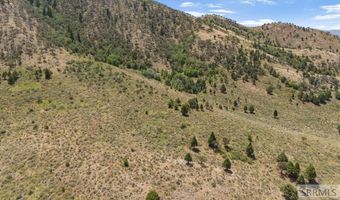 Swenson Valley Rd, Bancroft, ID 83217