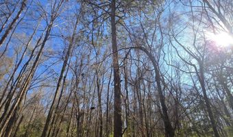 Bogue Chitto Road, Bogue Chitto, MS 39629
