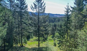 25308 NW MOUNTAIN Dr, Banks, OR 97106