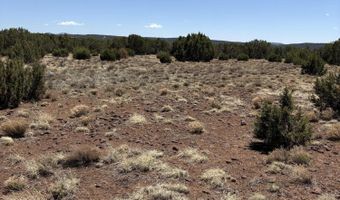 82 N 8368, Concho, AZ 85924