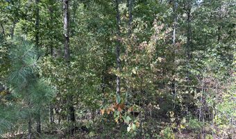 Tbd 7885 County Road 306 Pvt Drive-B, Ava, MO 65608