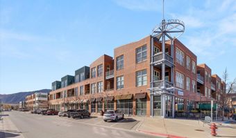 231 Robinson St 226, Basalt, CO 81621