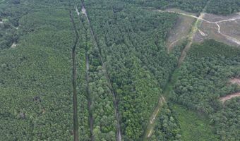 8501 Lawsontown Rd, Adger, AL 35444