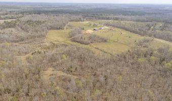 1896 PURDY BEAUTY HILL Rd, Bethel Springs, TN 38315