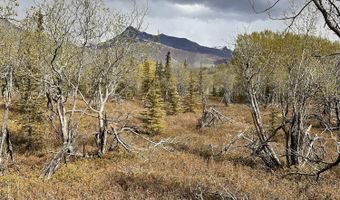 B005 Packsaddle Road, Chickaloon, AK 99674