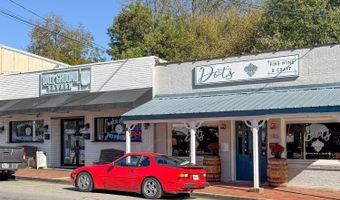 255 Lowry St, Ball Ground, GA 30107