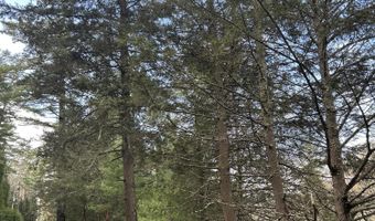 239 Sundale Rd, Accord, NY 12404