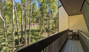 246 Broken Lance Dr 402, Breckenridge, CO 80424