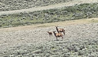 616 N COTTONWOOD Rd, Daniel, WY 83115