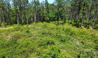 0 Orem Rd, Bay Minette, AL 36507