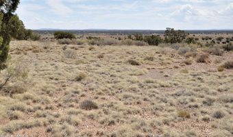138 Jeff Lake Rd (CR N9230), Concho, AZ 85924