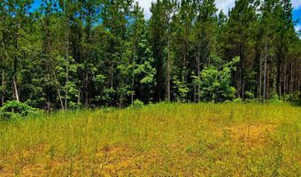 Arthur Drive, Brookhaven, MS 39601