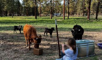 6310 Happy Hollow Ln, Bonanza, OR 97623
