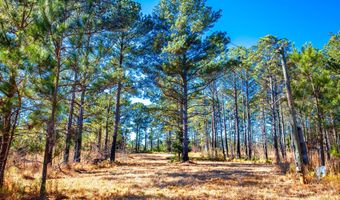 6978 Moontown Dr, Appling, GA 30802