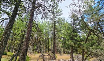 13559 Sparrow Dr, Bonanza, OR 97623