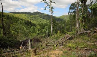 461 Reuben Wooten Rd, Banner Elk, NC 28604