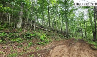 Tbd Teaster Valley Lane, Banner Elk, NC 28604