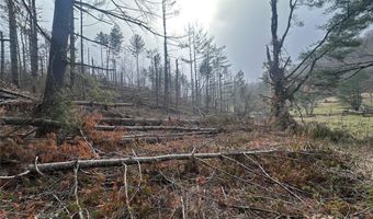 99999 White Pine Ln, Bakersville, NC 28705