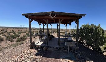 22 N9235, Concho, AZ 85924