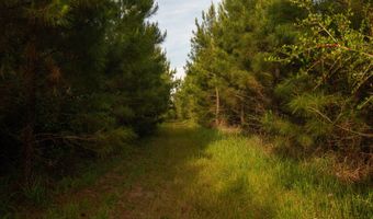 0 Flowers Rd, Bay Minette, AL 36507