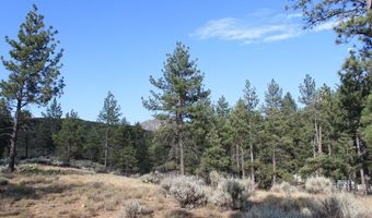 030 Butterfly Peak Rd, Mountain Center, CA 92561
