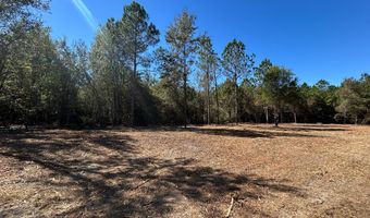 20 Ac Coot Adams Rd, Ashford, AL 36312